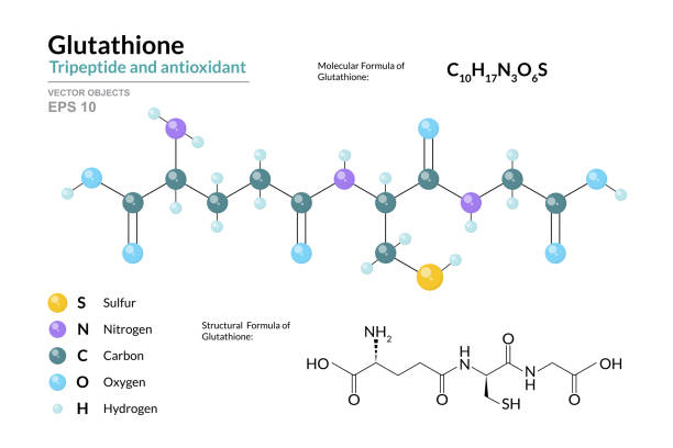 Benefits of Glutathione: Your Body's Master Antioxidant
